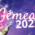 horoscope 2022 signe gemeau