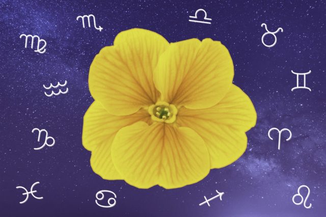 horoscope printemps gratuit 2022
